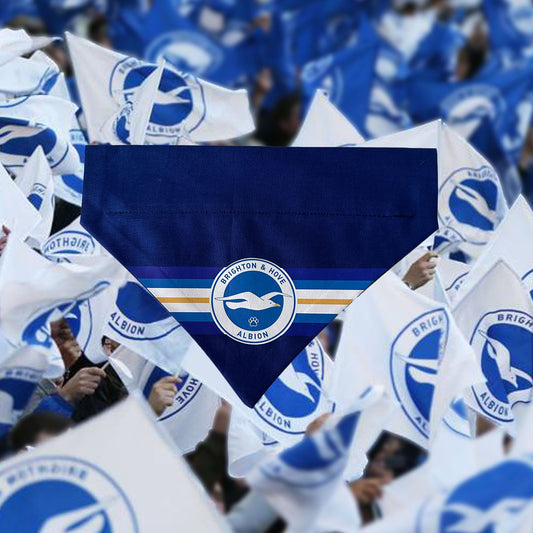 Bandana CPD Brighton | Brighton FC Bandana