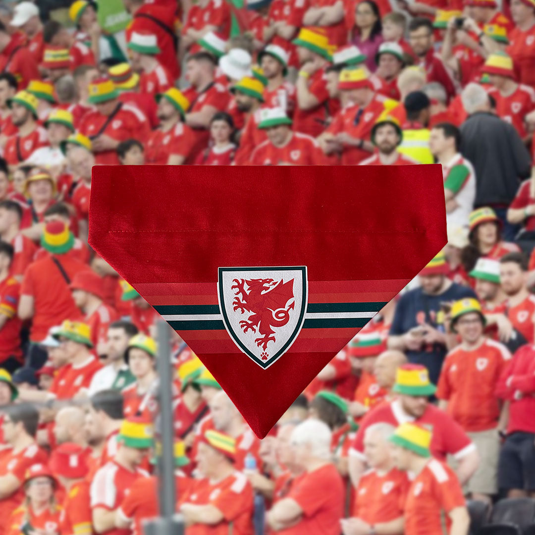 Bandana Cymru | Wales Bandana