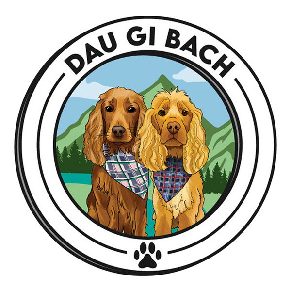 Dau Gi Bach