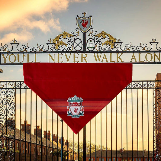 Bandana CPD Lerpwl | Liverpool FC Bandana