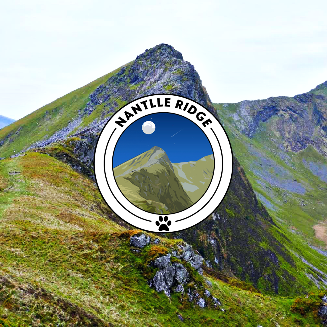 Bandana Nantlle Ridge | Nantlle Ridge Bandana