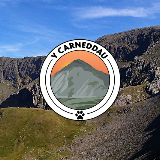 Bandana Y Carneddau | Y Carneddau Bandana