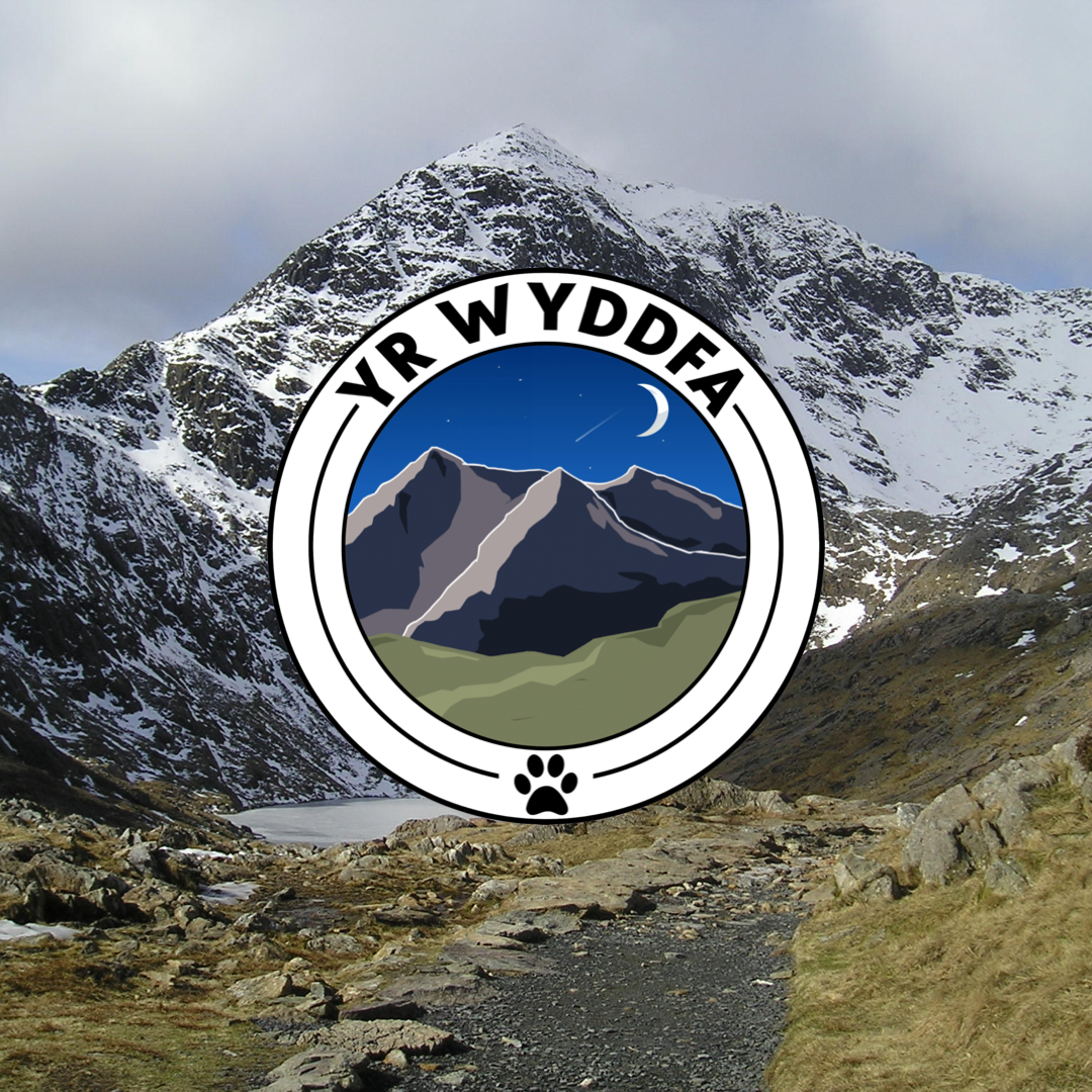 Bandana Yr Wyddfa | Snowdon Bandana